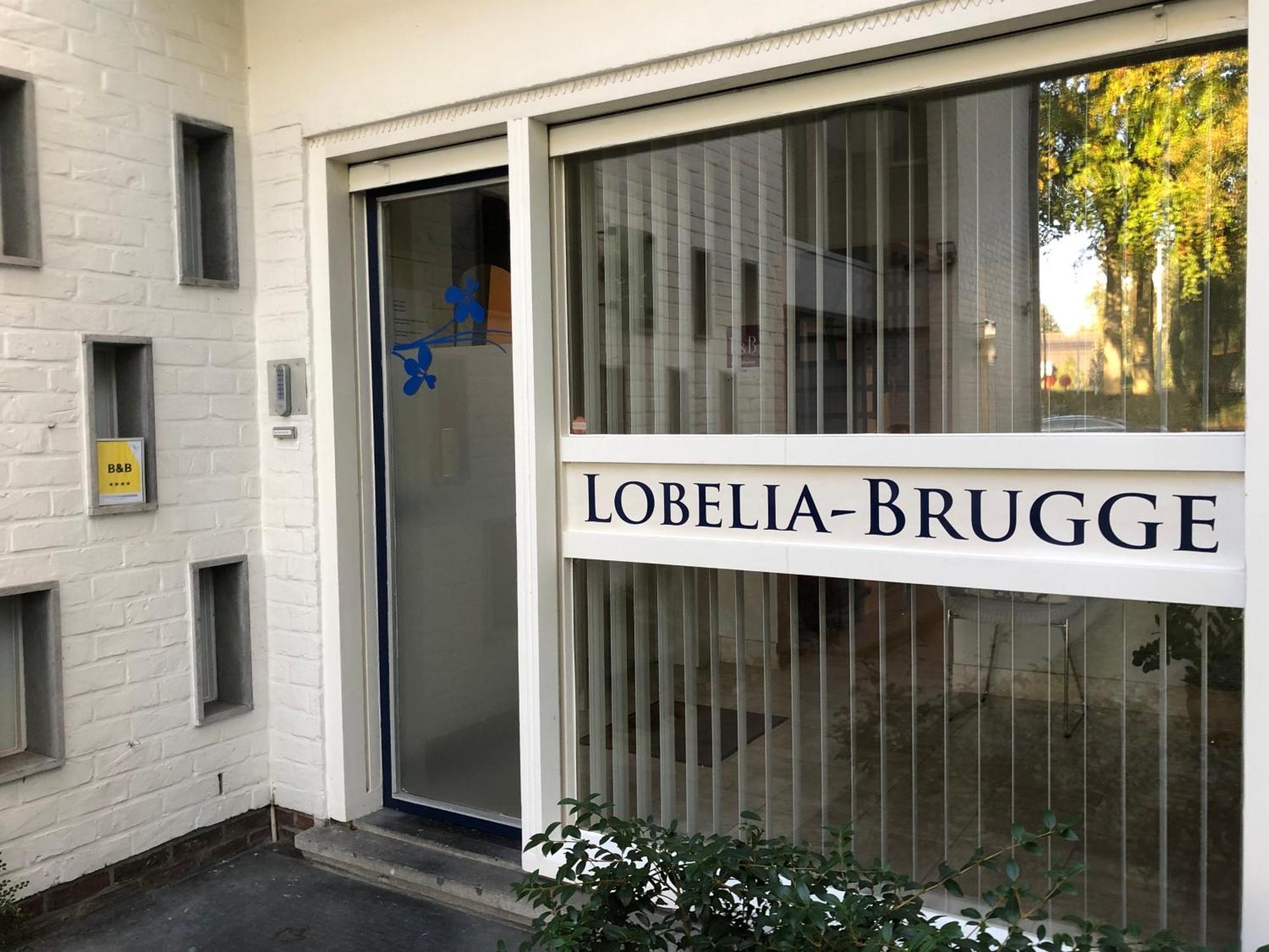 B&B Lobelia-Brugge Eksteriør billede